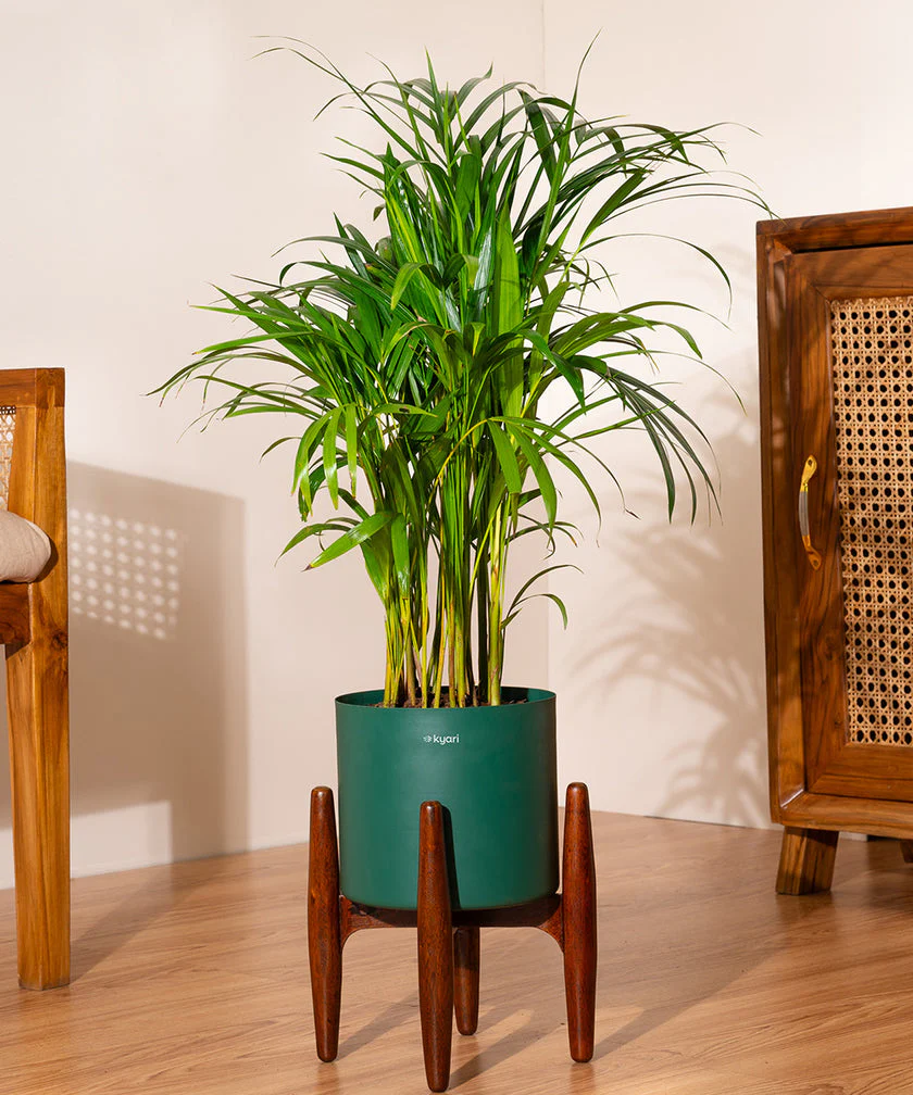 Product image 106
