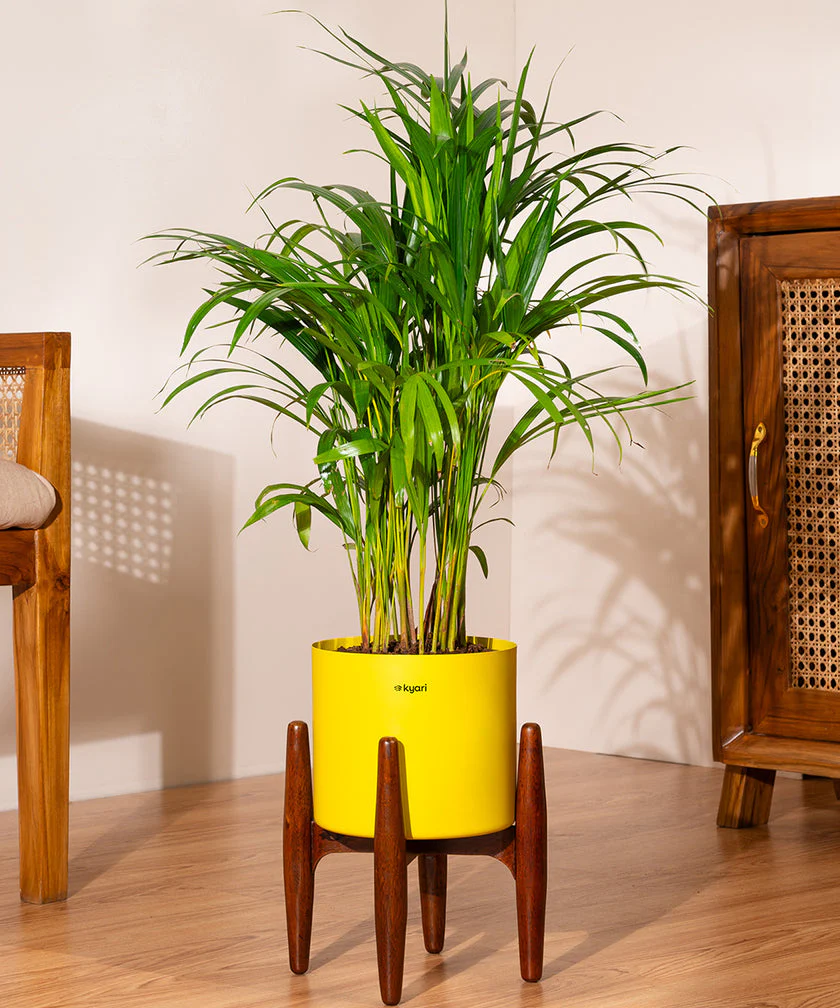 Product image 166