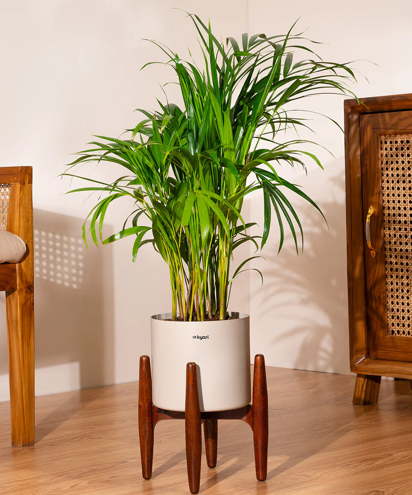 Product image 170
