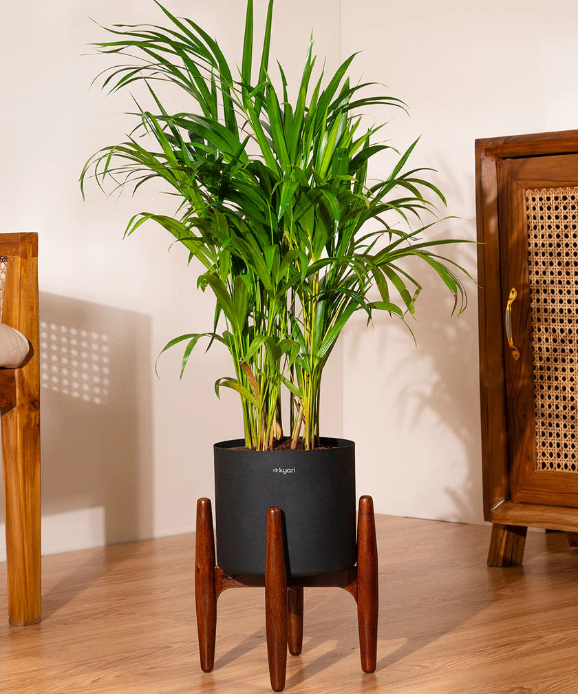 Product image 88