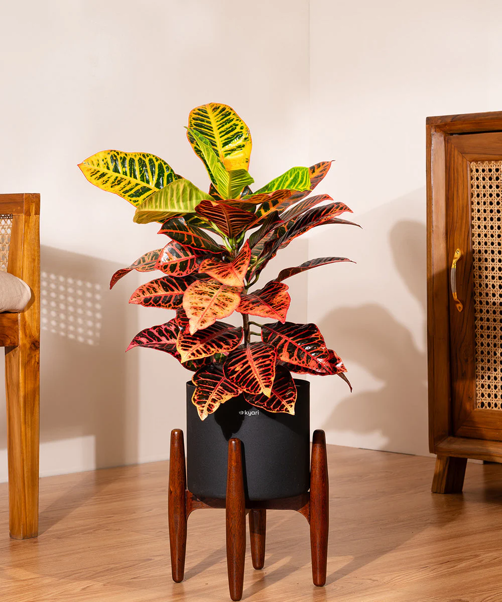 Product image 175