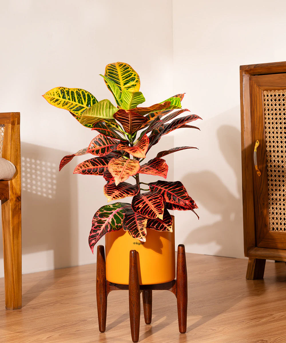 Product image 207