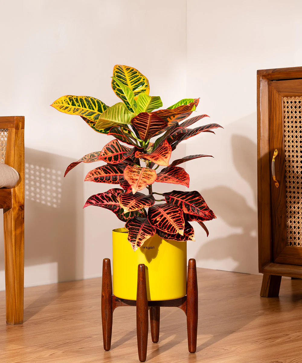 Product image 90
