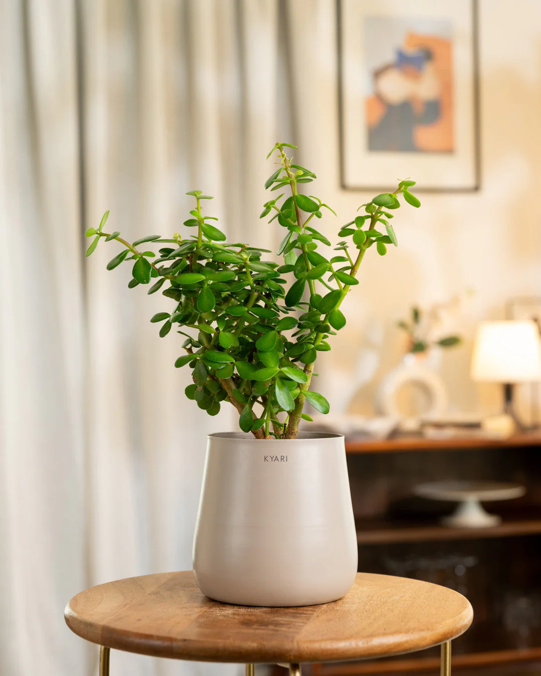 Product image 169