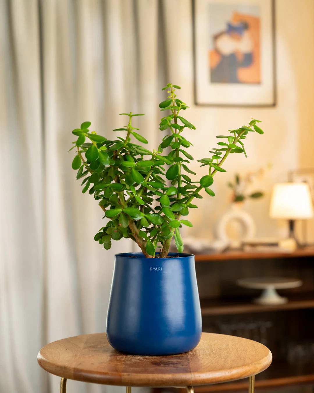 Product image 233