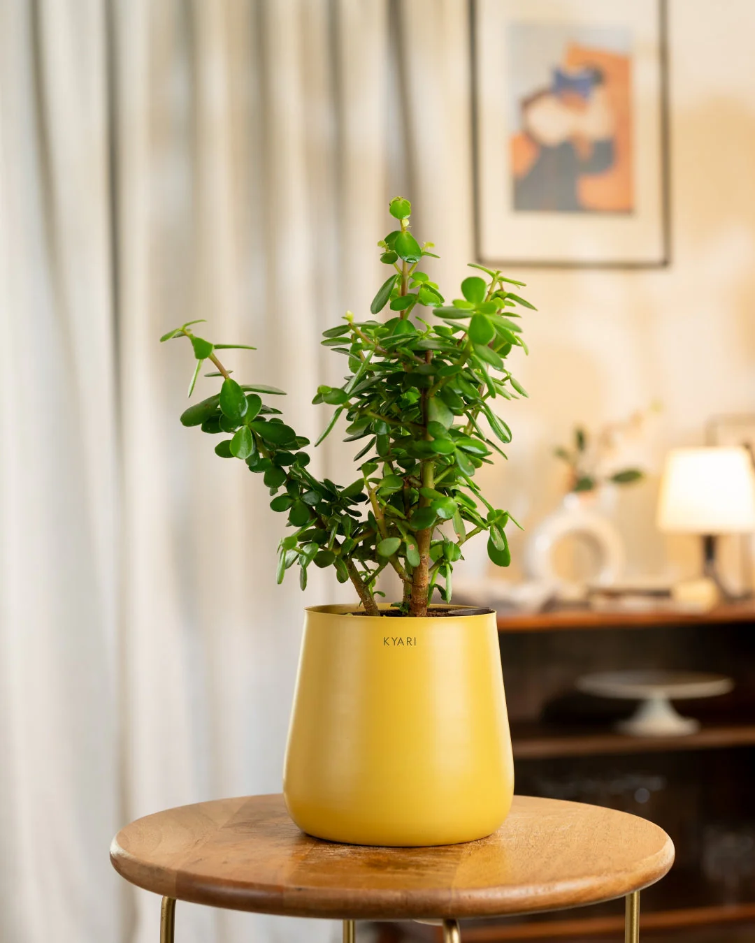 Product image 237