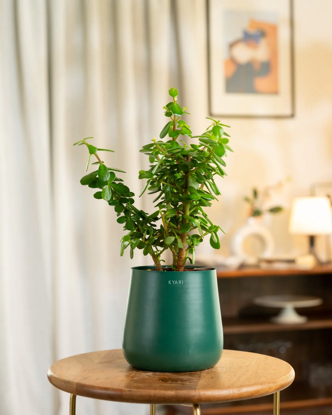 Product image 54
