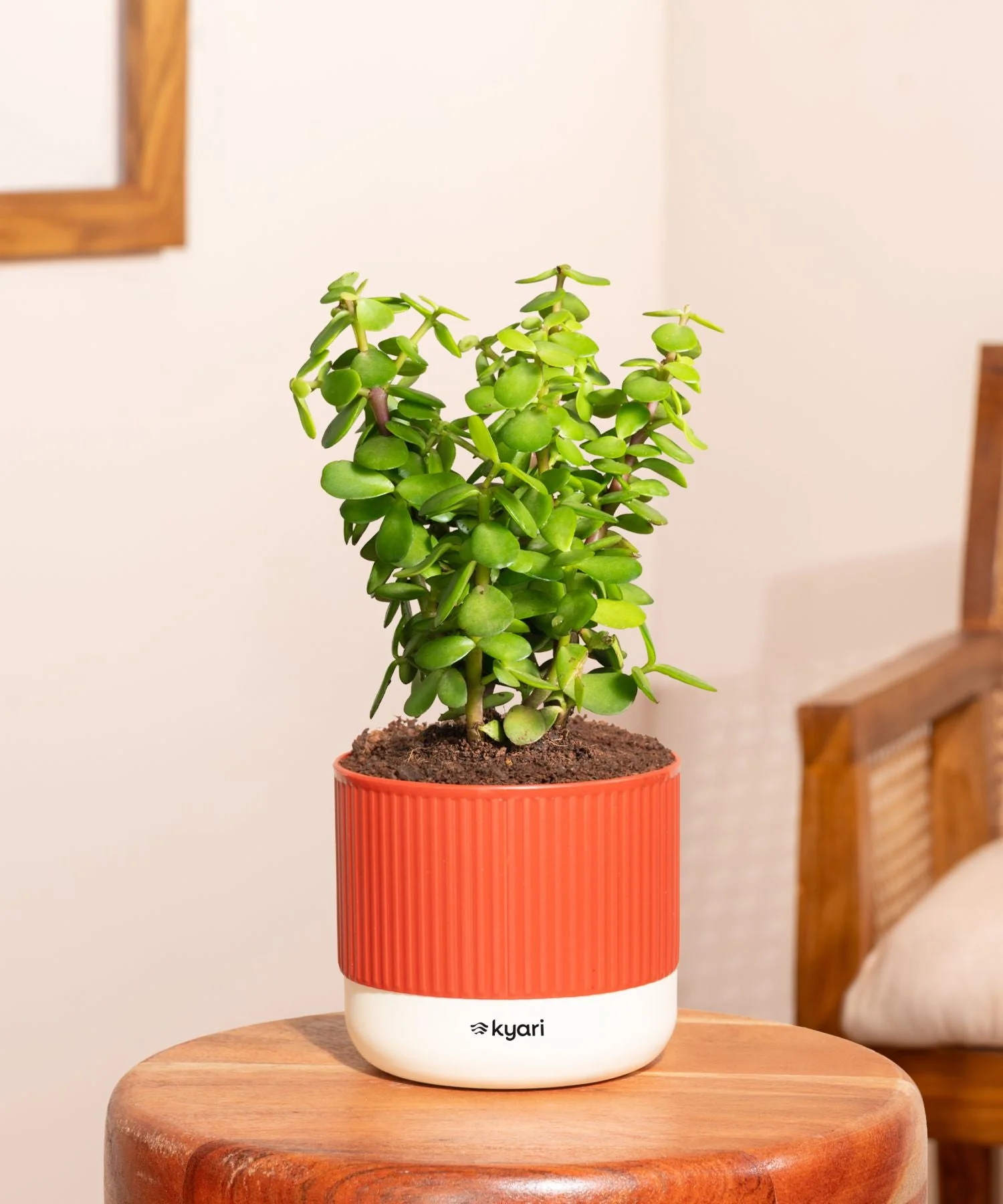 Product image 135