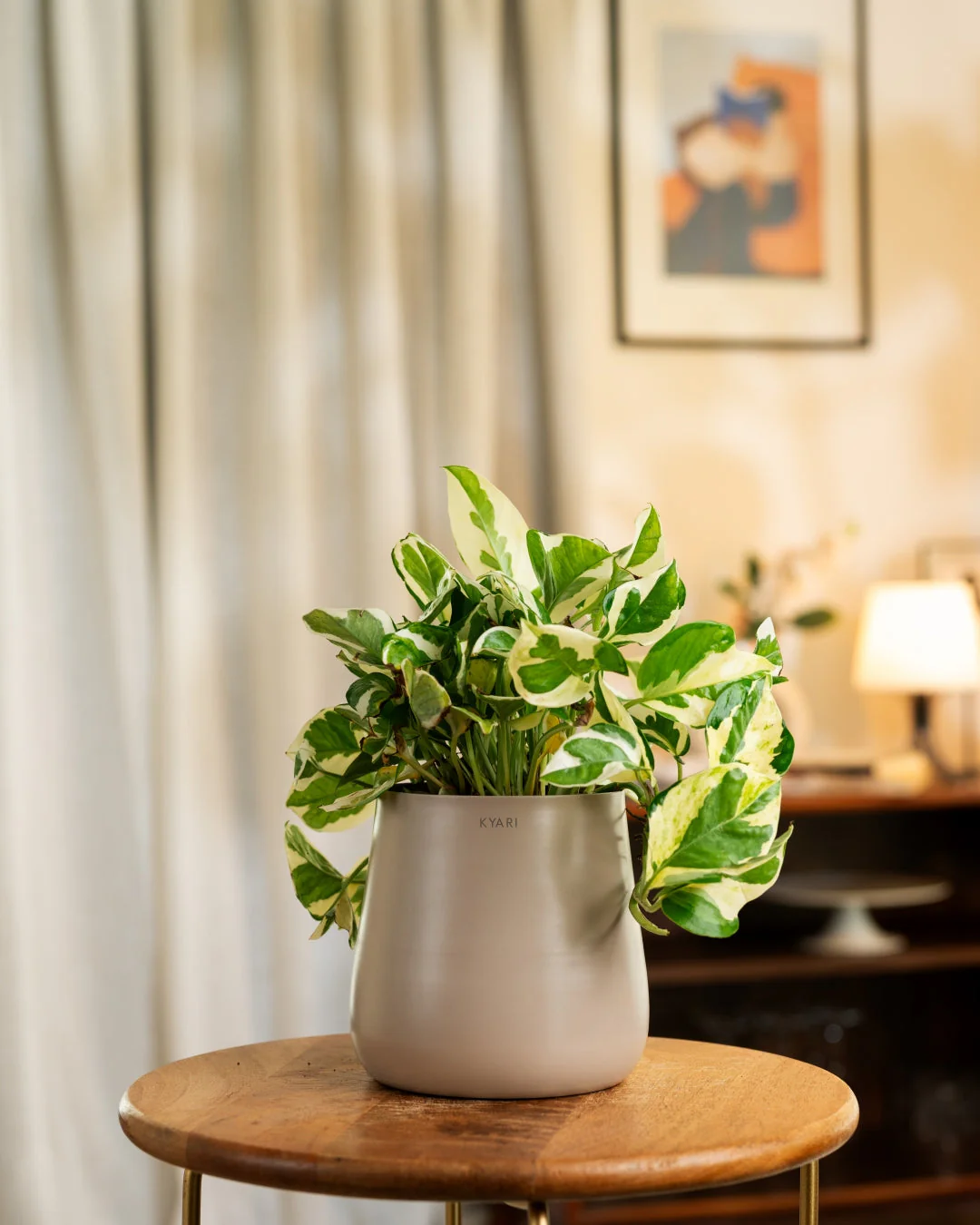 Product image 175
