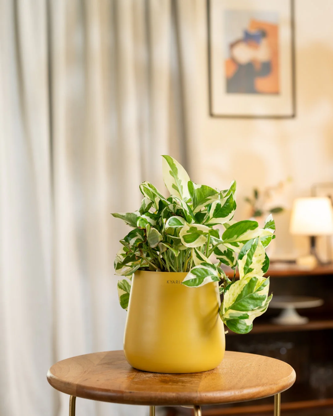 Product image 41