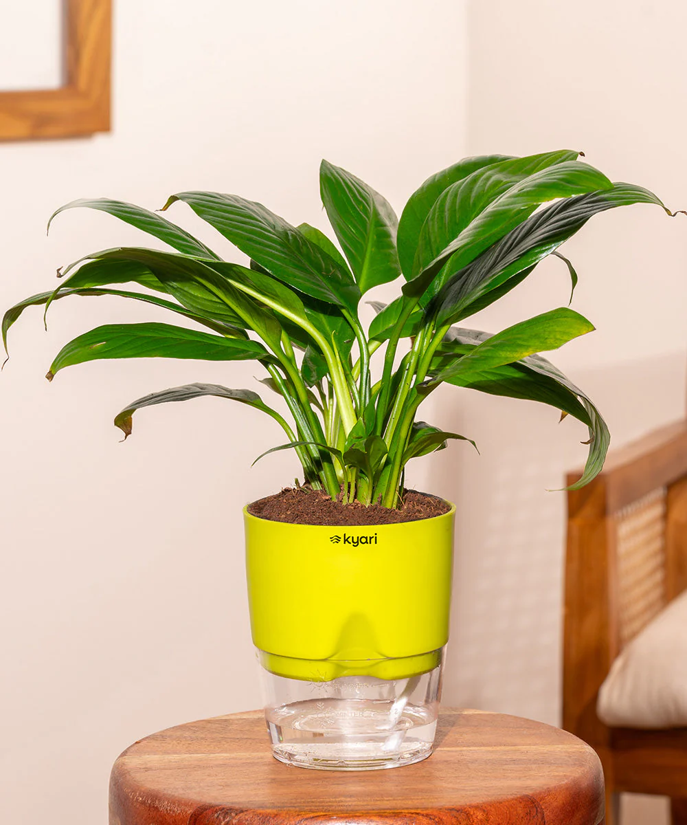 Product image 110